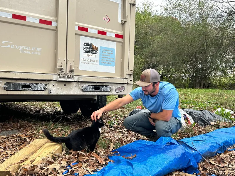 Junk it interior demolition